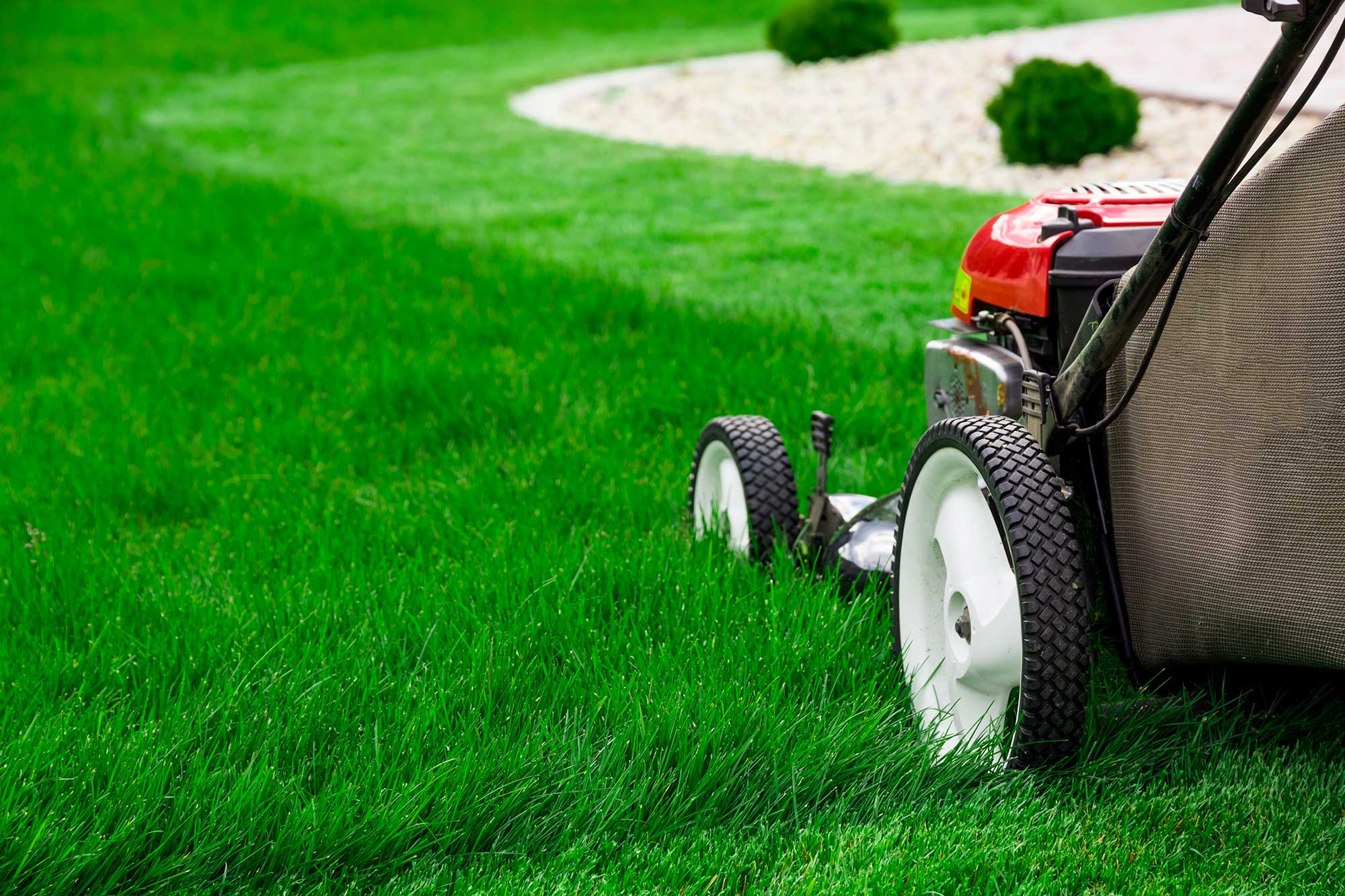 Weekly Lawn Maintenance